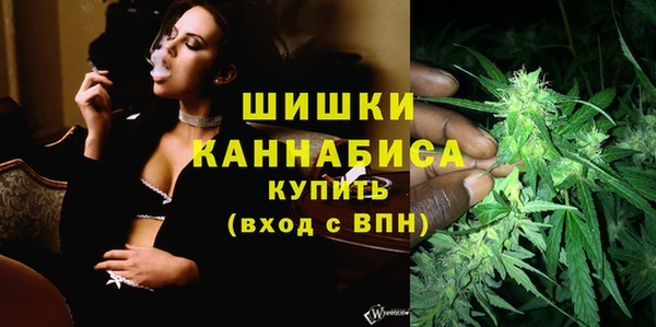 PSILOCYBIN Ладушкин