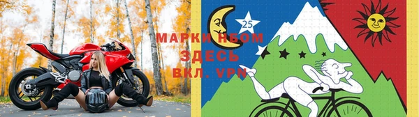 PSILOCYBIN Ладушкин