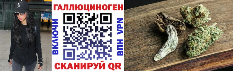 Псилоцибиновые грибы мицелий  Суворов 